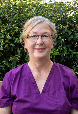 Julia Fischer, Zahnarzt